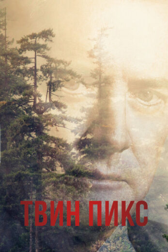 Постер 1 сезона сериала «Твин Пикс»